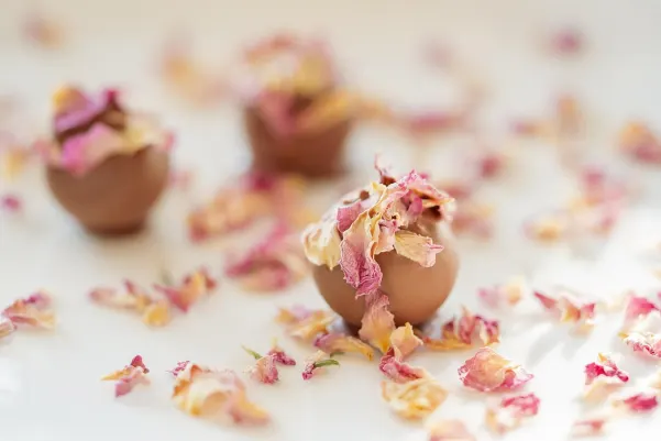 Casino Haiti Win Android/iOS-app